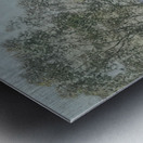 Robert Vonnoh 50 Metal print