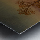 Albert Bierstadt 5 Metal print