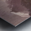 Albert Bierstadt 19 Metal print