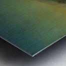 Albert Bierstadt 20 Metal print