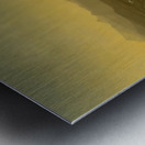 Albert Bierstadt 24 Metal print