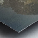 Albert Bierstadt 31 Metal print