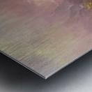 Albert Bierstadt 43 Metal print