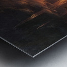 Albert Bierstadt 47 Metal print