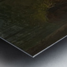 Albert Bierstadt 3 Metal print