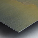 Albert Bierstadt 5 Metal print