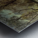 Albert Bierstadt 6 Metal print