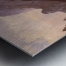 Albert Bierstadt 31 Metal print