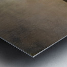 Albert Bierstadt 34 Metal print