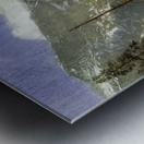 Albert Bierstadt 41 Metal print