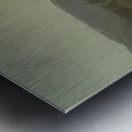 Albert Bierstadt 46 Metal print