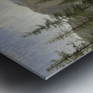 Albert Bierstadt 47 Metal print