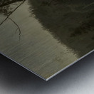 Albert Bierstadt 57 Metal print