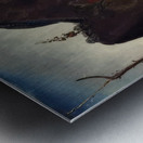 Art by George Bellows 16 Metal print