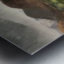 Art by George Bellows 19 Metal print