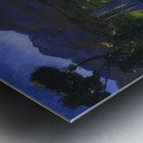 George Bellows 1 Metal print