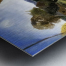 George Bellows 4 Metal print