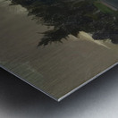 George Bellows 5 Metal print