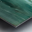 George Bellows 8 Metal print