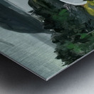 George Bellows 14 Metal print