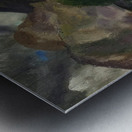 George Bellows 21 Metal print