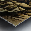 Artwork by Giacomo Balla  2 Metal print