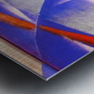 Artwork by Giacomo Balla  8 Metal print