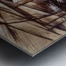 Artwork by Giacomo Balla  11 Metal print