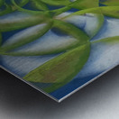 Artwork by Giacomo Balla  26 Metal print