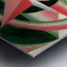 Artwork by Giacomo Balla  34 Metal print