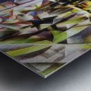 Artwork by Giacomo Balla  36 Metal print