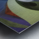 Artwork by Giacomo Balla  24 Metal print