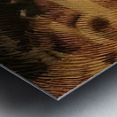 Artwork by Giacomo Balla  30 Metal print