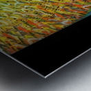 Artwork by Giacomo Balla  42 Metal print