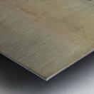 Edouard Manet  17 Metal print