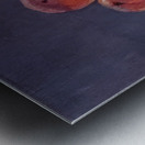 Edouard Manet  34 Metal print