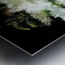 Edouard Manet  35 Metal print