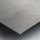 Edouard Manet  51 Metal print