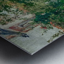 Edouard Manet  52 Metal print