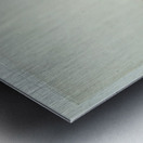 Edouard Manet  56 Metal print