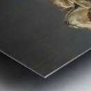 Edouard Manet  2 Metal print