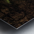 Art by Auguste Renoir 11 Metal print