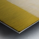 Mark Rothko 9 Metal print