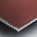 Mark Rothko 13 Metal print