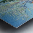 Achille Lauge Art 5 Metal print