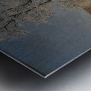 Achille Lauge Art 22 Metal print