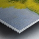 Achille Lauge Art 18 Metal print