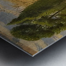 Achille Lauge Art 19 Metal print