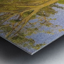 Achille Lauge Art 28 Metal print