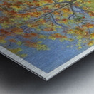 Achille Lauge Art 30 Metal print